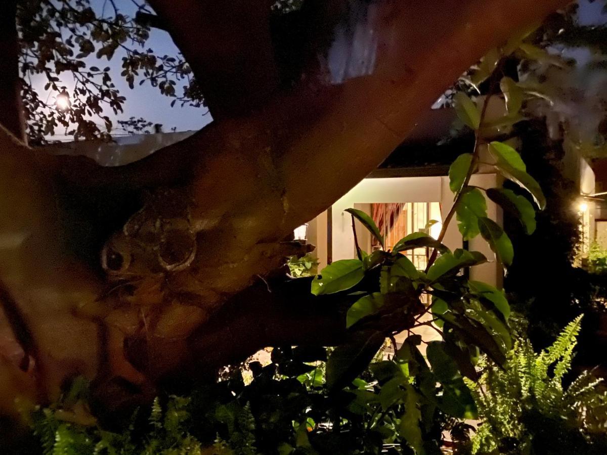 La Bella B&B Under The Fig Tree Bela-Bela Exterior photo